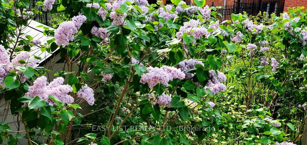 345, Tower Hill, Jefferson, Richmond Hill