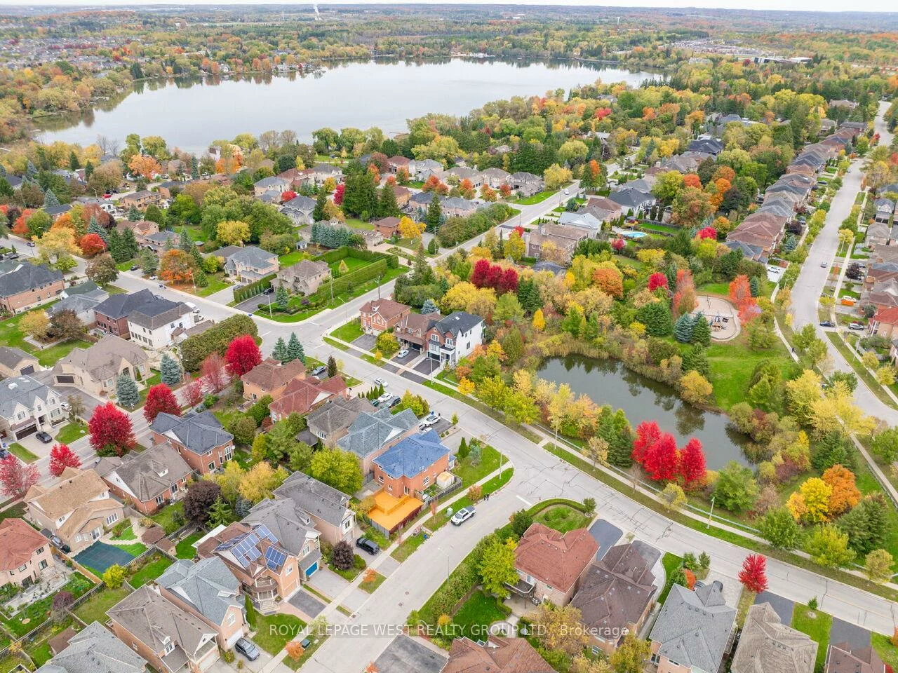 136, English Oak, Oak Ridges Lake Wilcox, Richmond Hill