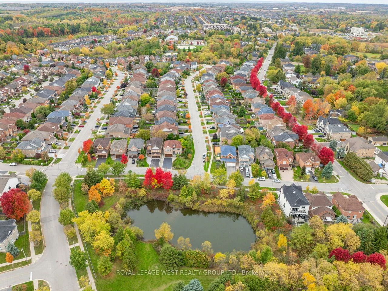 136, English Oak, Oak Ridges Lake Wilcox, Richmond Hill