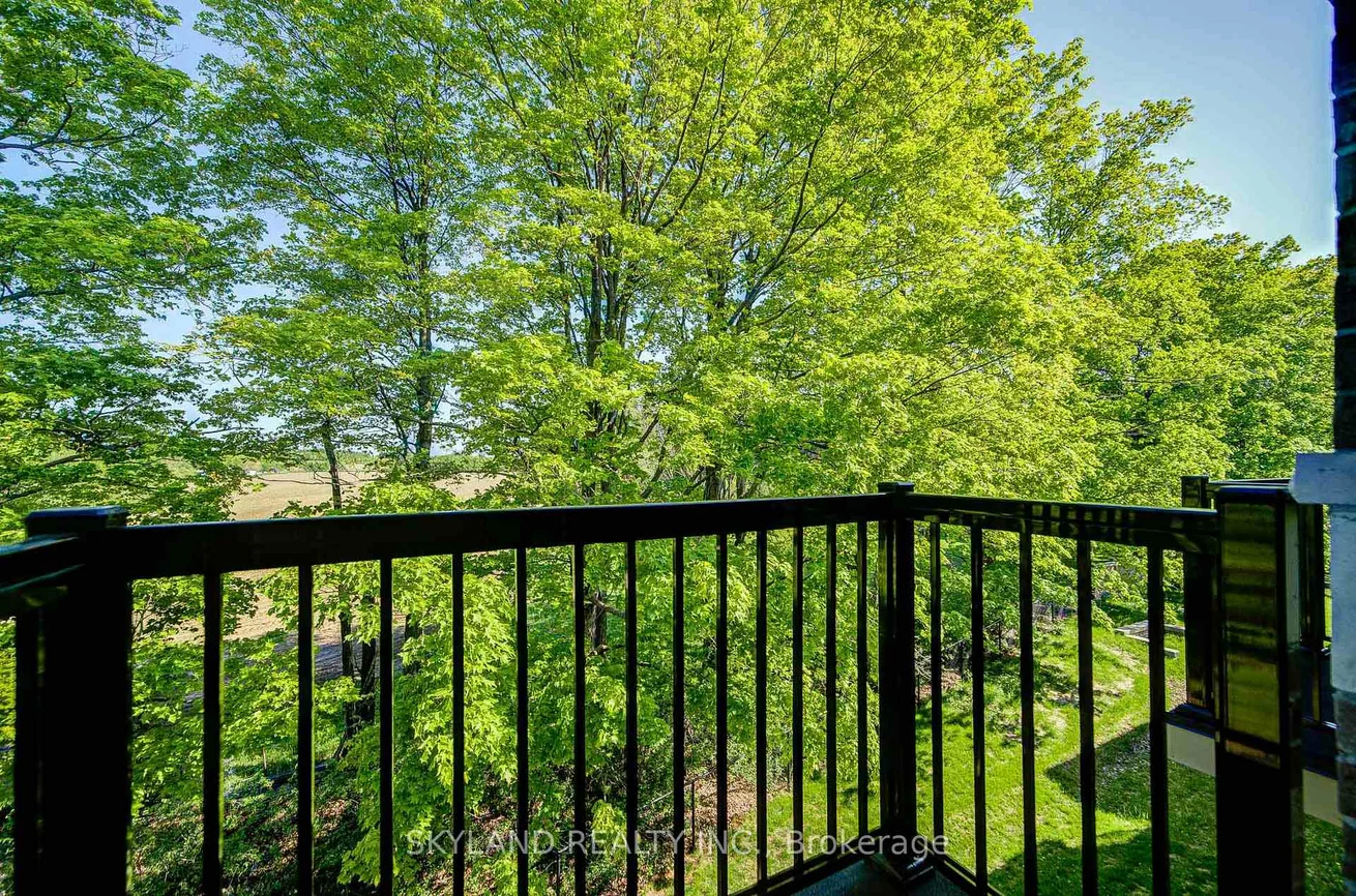66, Puisaya, Rural Richmond Hill, Richmond Hill