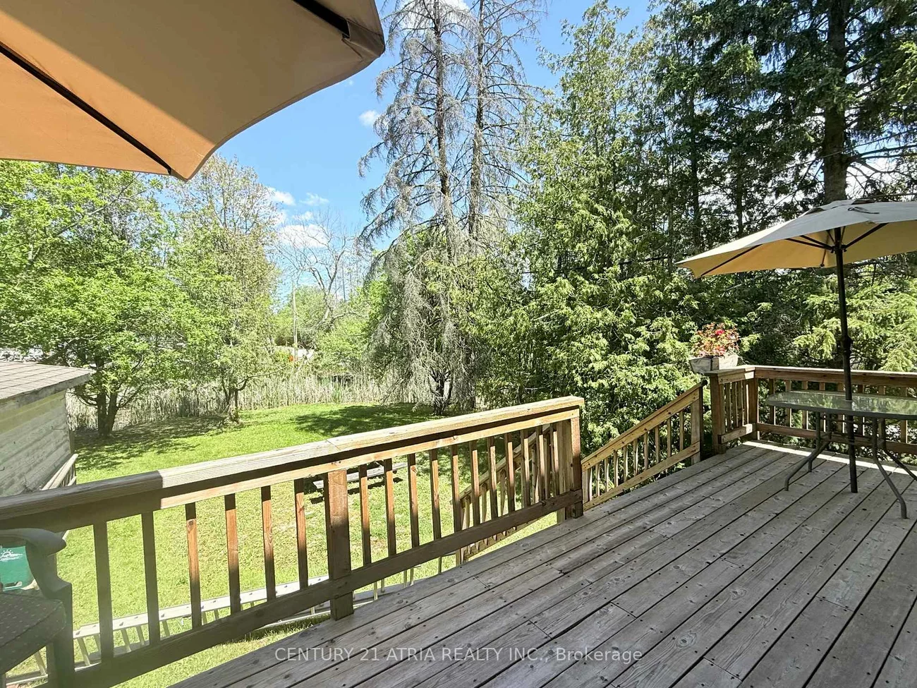 6, Penny, Oak Ridges, Richmond Hill