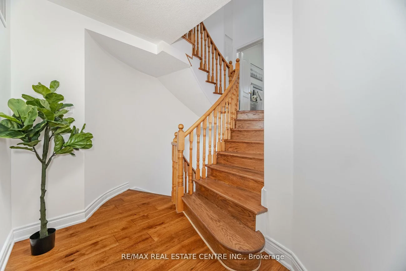 24, Futura, Rouge Woods, Richmond Hill