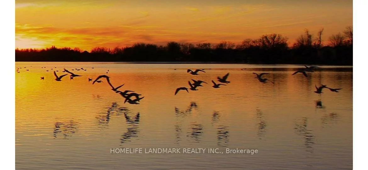 26, Capelle, Oak Ridges Lake Wilcox, Richmond Hill