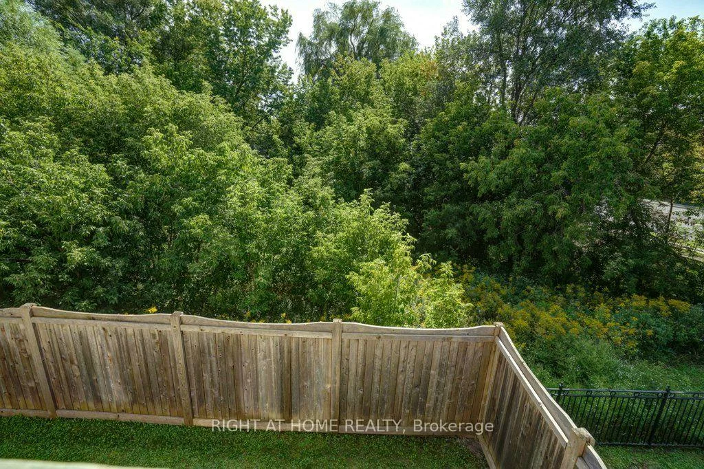 6, Plowman, Rouge Woods, Richmond Hill