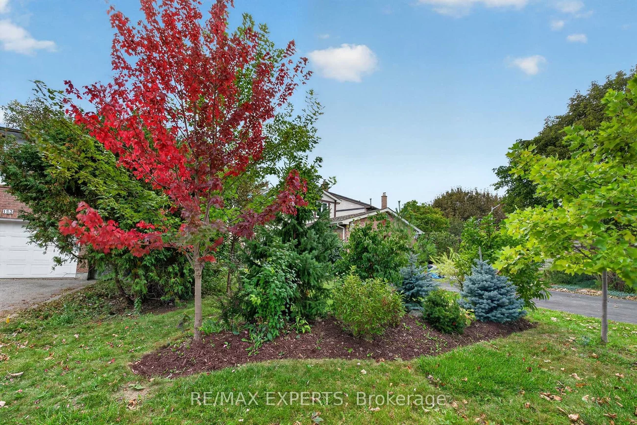 155, Stephen, North Richvale, Richmond Hill