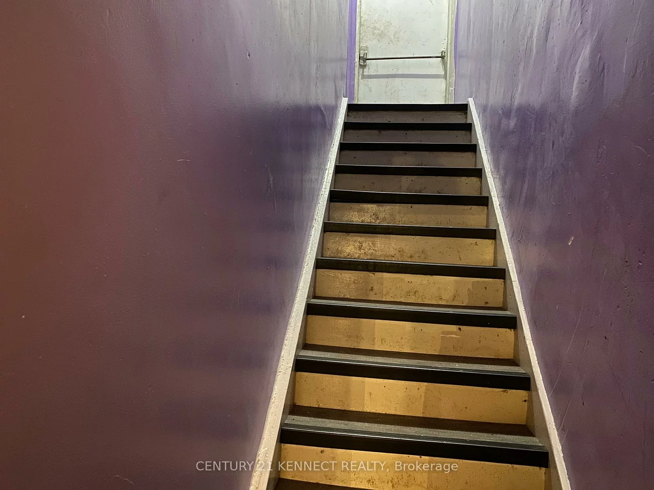 181, Augusta, Kensington-Chinatown, Toronto