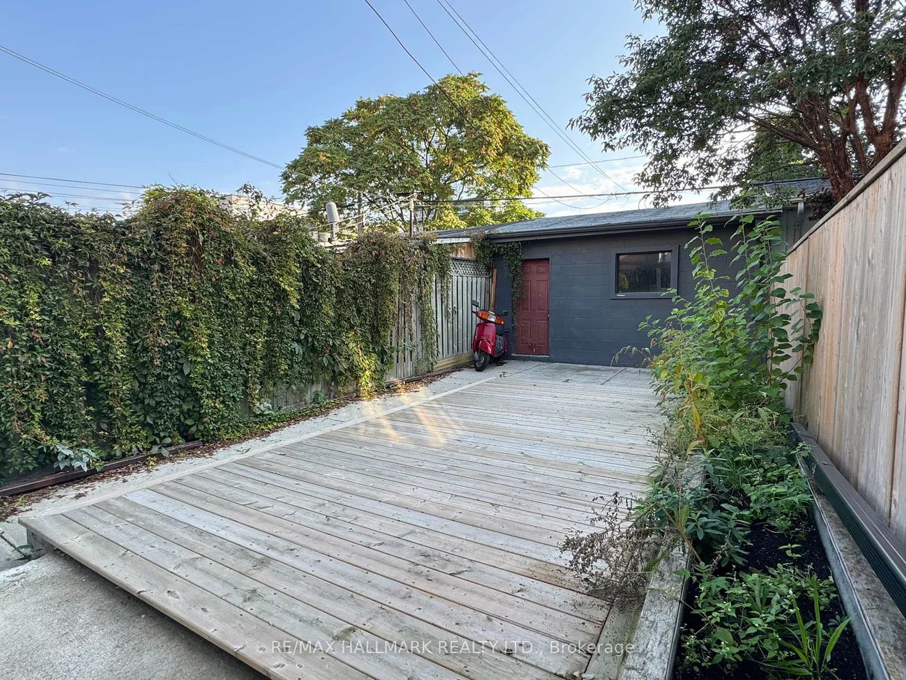 13, Brookfield, Trinity-Bellwoods, Toronto