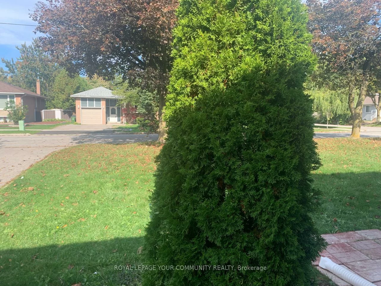151, Goulding, Newtonbrook West, Toronto