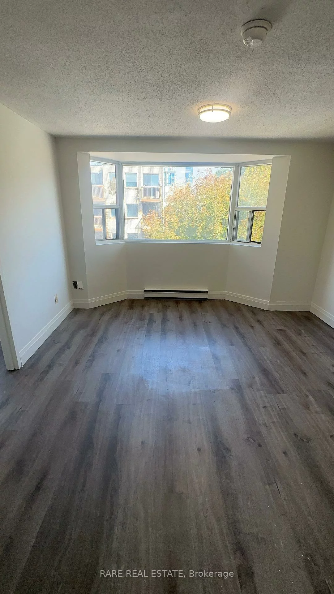 99, Bellevue, Kensington-Chinatown, Toronto