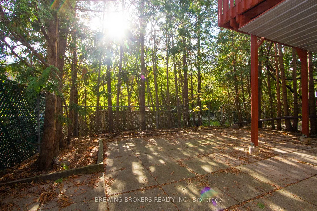 234, Robert Hicks (Lower), Westminster-Branson, Toronto