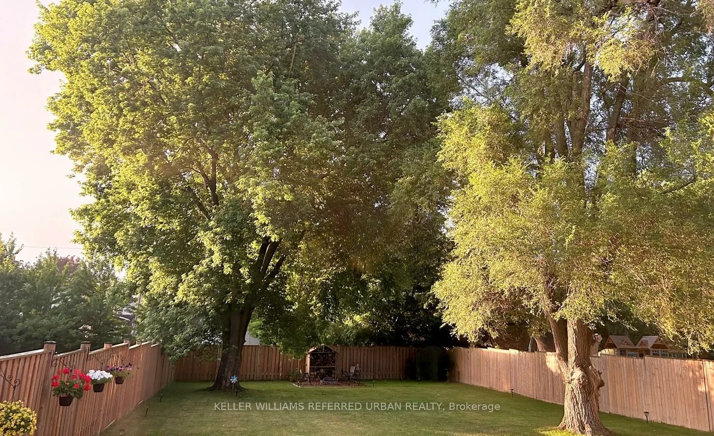 160, Caines, Newtonbrook West, Toronto