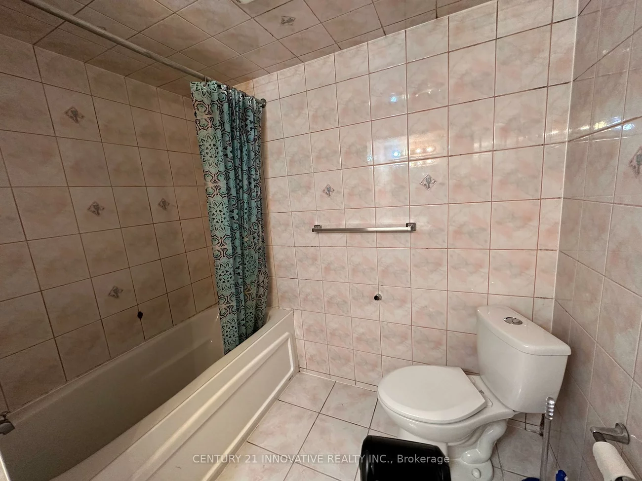 19, Loggerhead, Rouge E11, Toronto