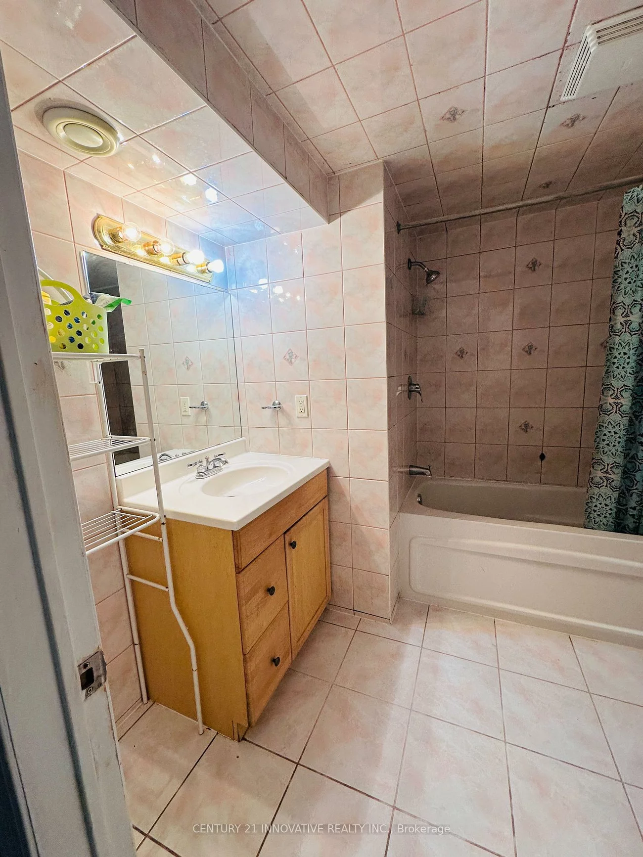 19, Loggerhead, Rouge E11, Toronto