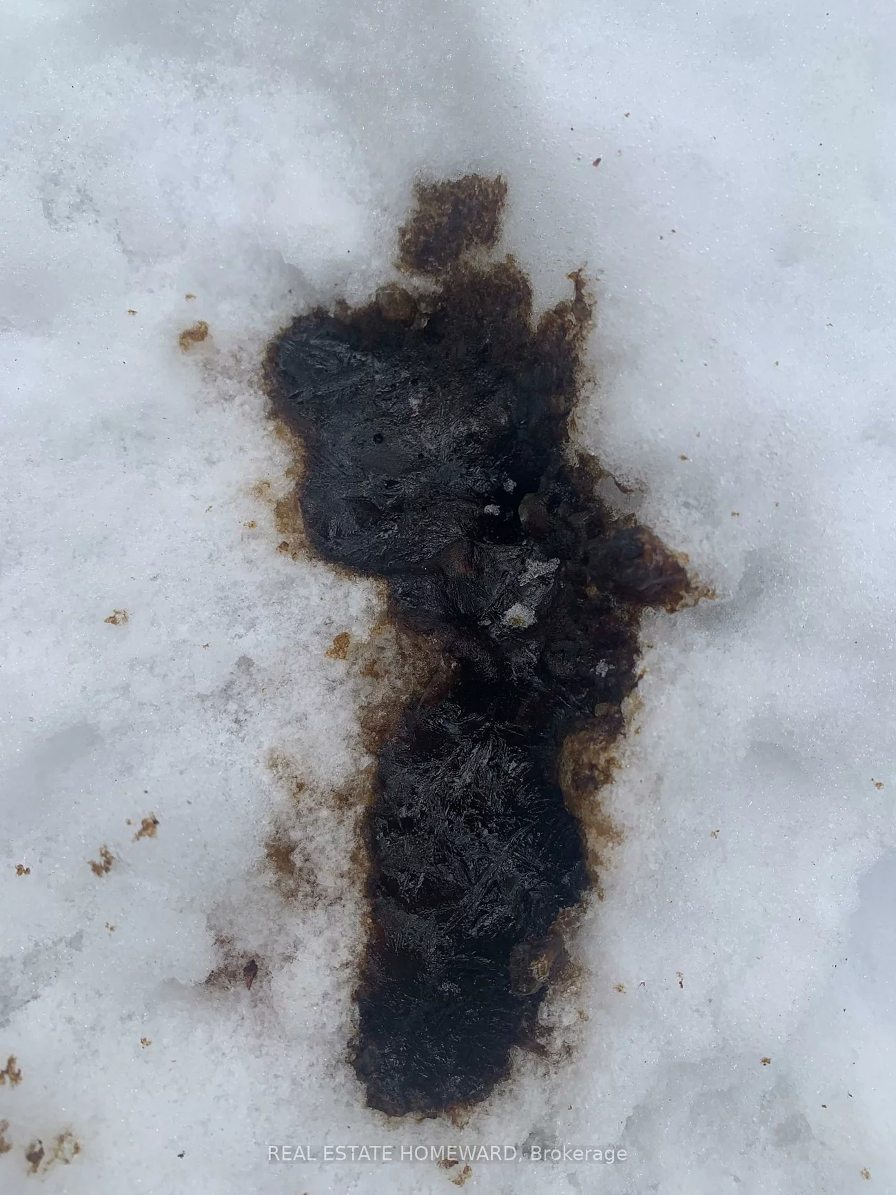 457, Mortimer, Danforth Village-East York, Toronto