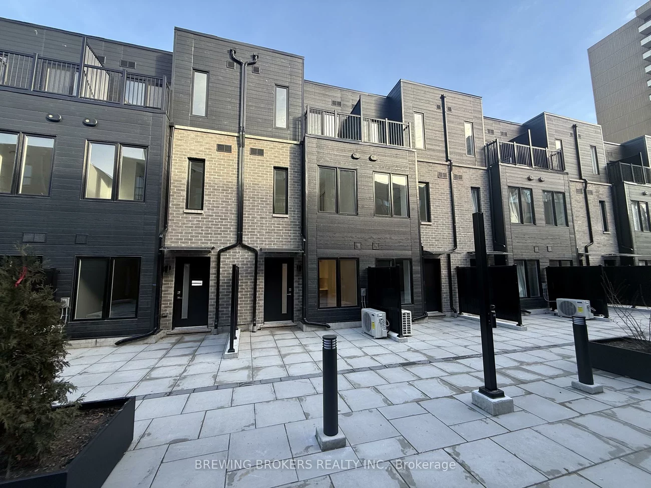 10, Calamint, L'Amoreaux, Toronto