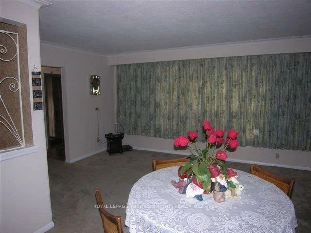 50, Araman, Tam O'Shanter-Sullivan, Toronto