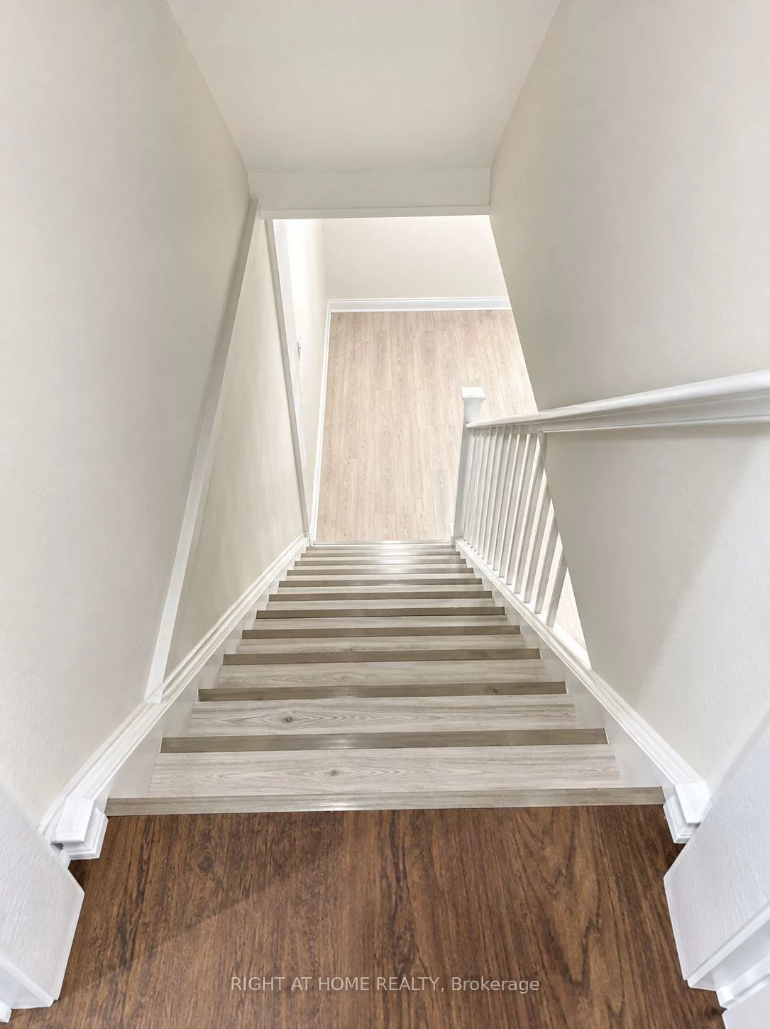 59, Marblemount, Tam O'Shanter-Sullivan, Toronto