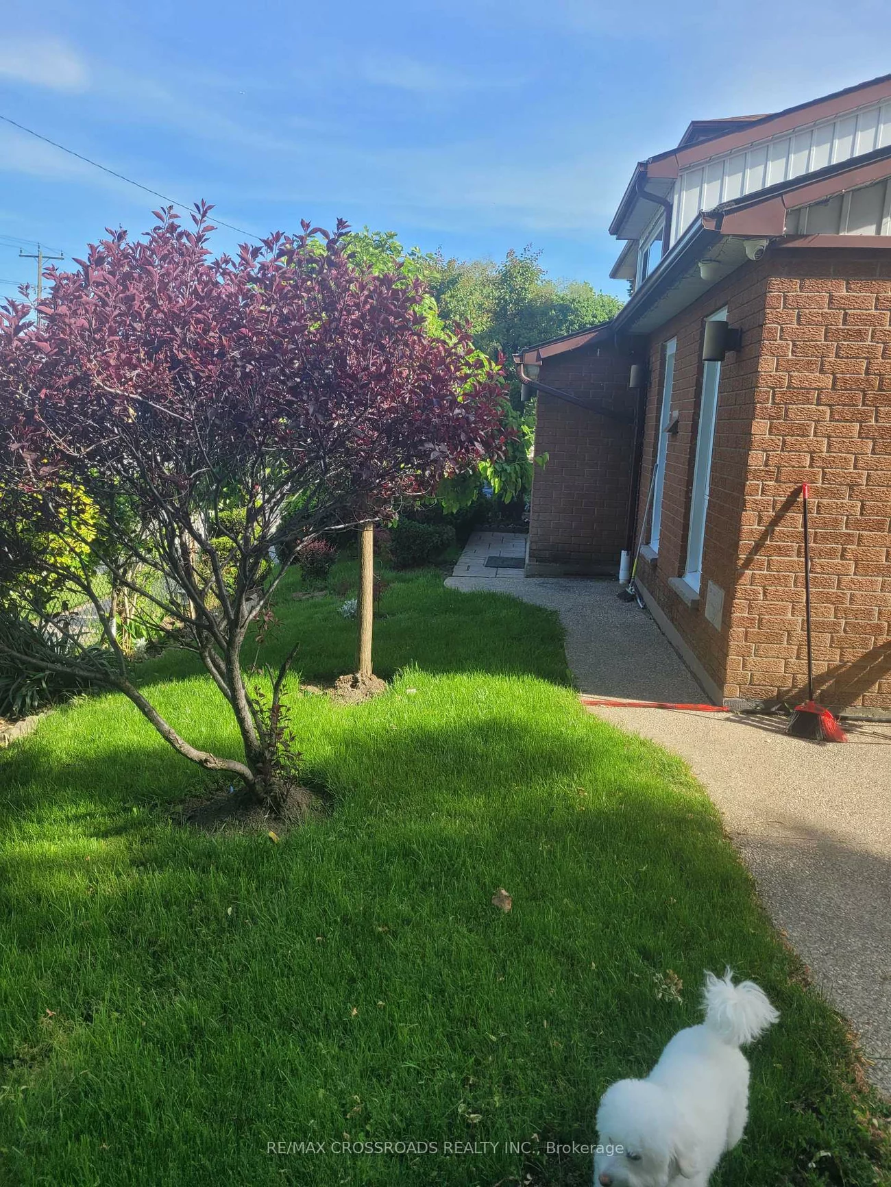 36, Caverley, Willowridge-Martingrove-Richview, Toronto