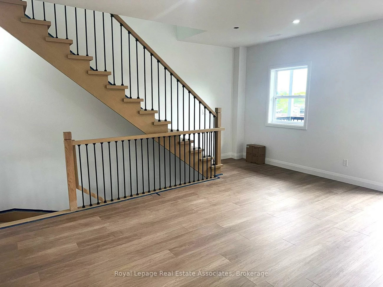 17, White, Rockcliffe-Smythe, Toronto