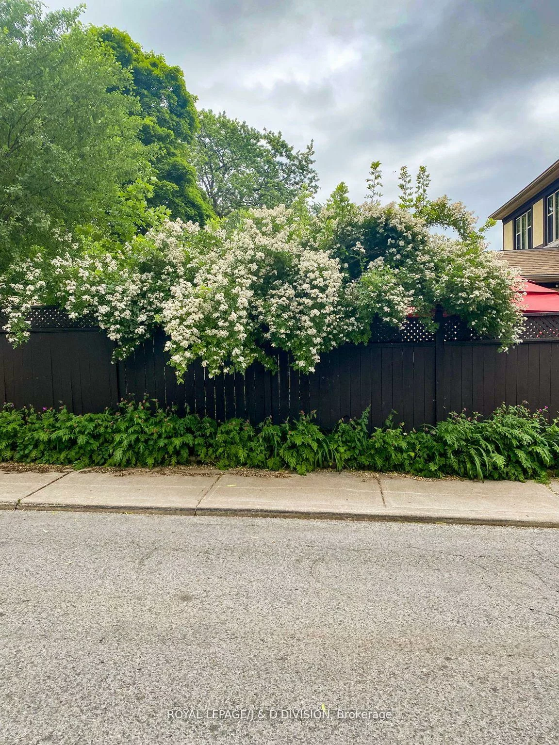 77, College View, Forest Hill South, Toronto
