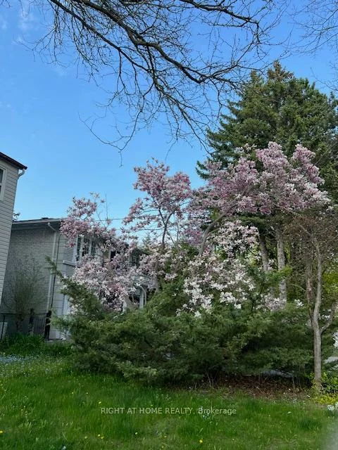144, Wedgewood, Newtonbrook East, Toronto