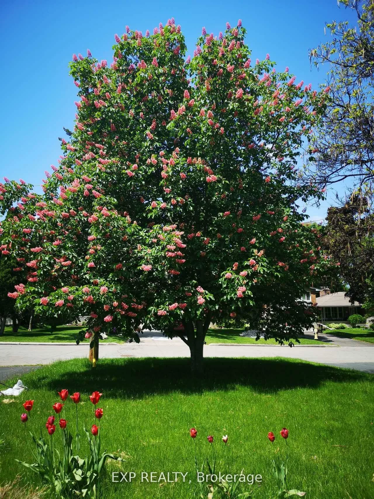 17, Ravenscroft, Bayview Village, Toronto