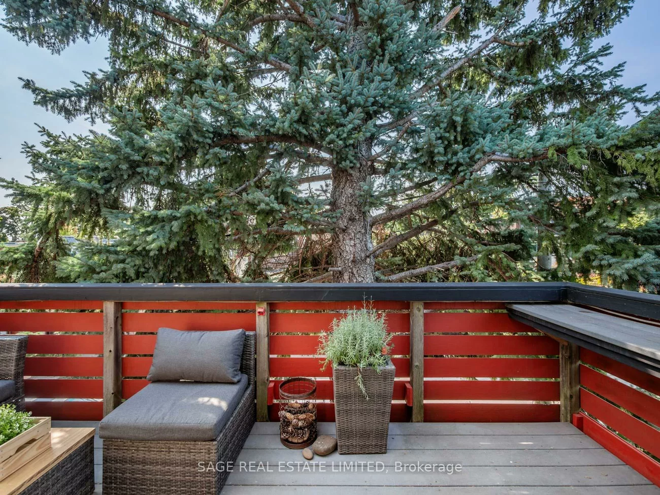 53, jersey, Palmerston-Little Italy, Toronto