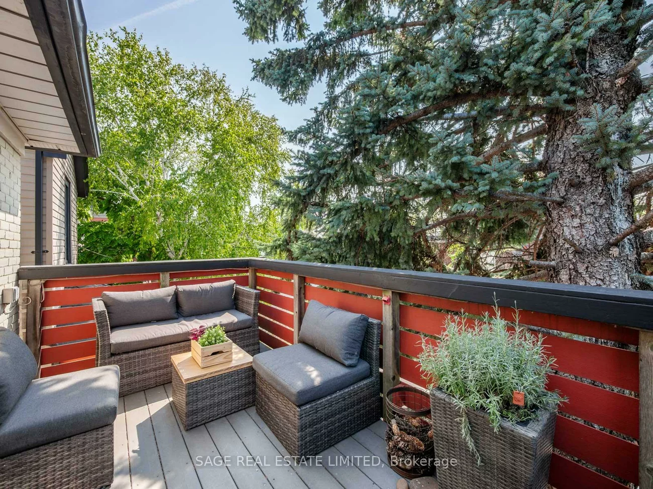 53, jersey, Palmerston-Little Italy, Toronto