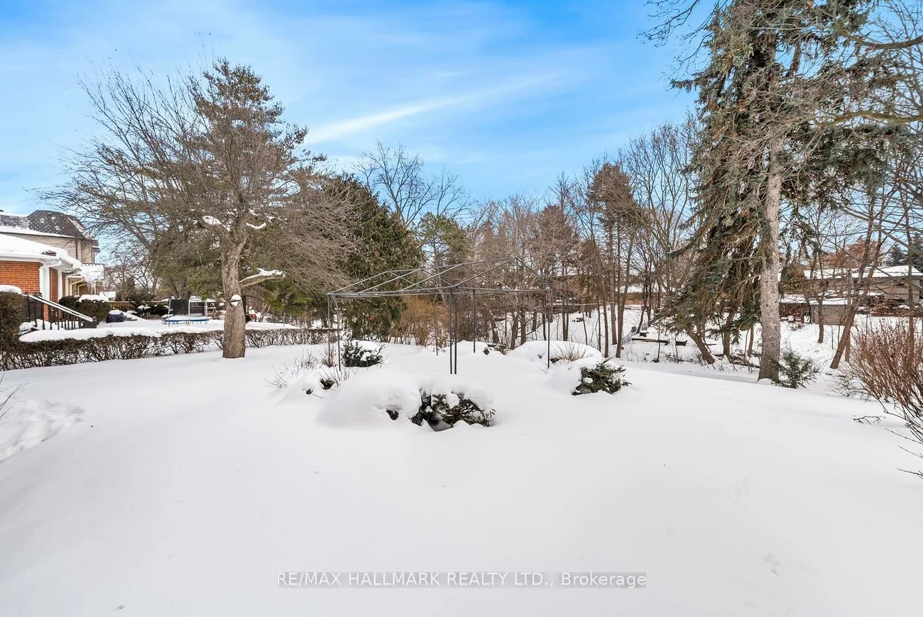 211, Newton, Newtonbrook East, Toronto