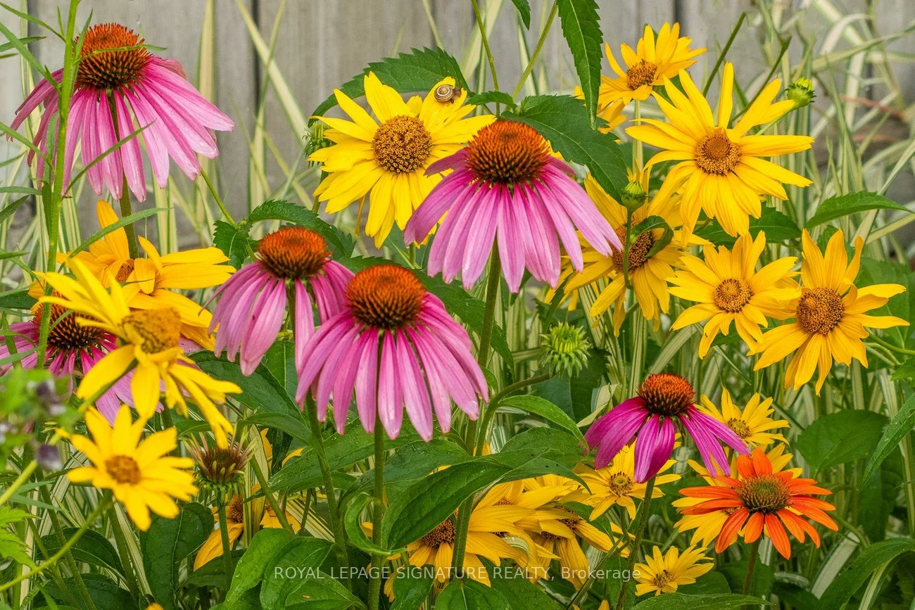 28, Grove Park, Don Valley Village, Toronto