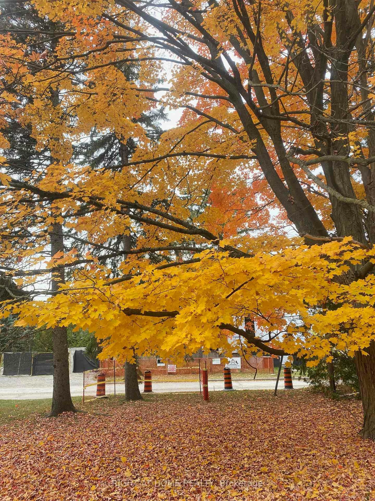 48, the bridle, Bridle Path-Sunnybrook-York Mills, Toronto