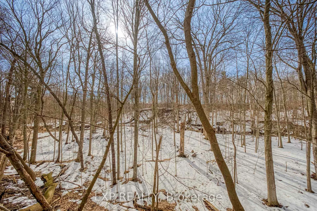 13, Carmel, Bayview Woods-Steeles, Toronto