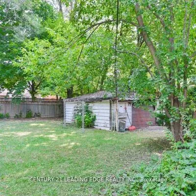 11, Collinson, Clanton Park, Toronto