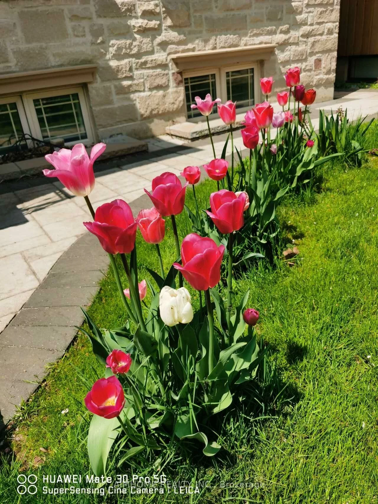 38, Pheasant, Newtonbrook East, Toronto