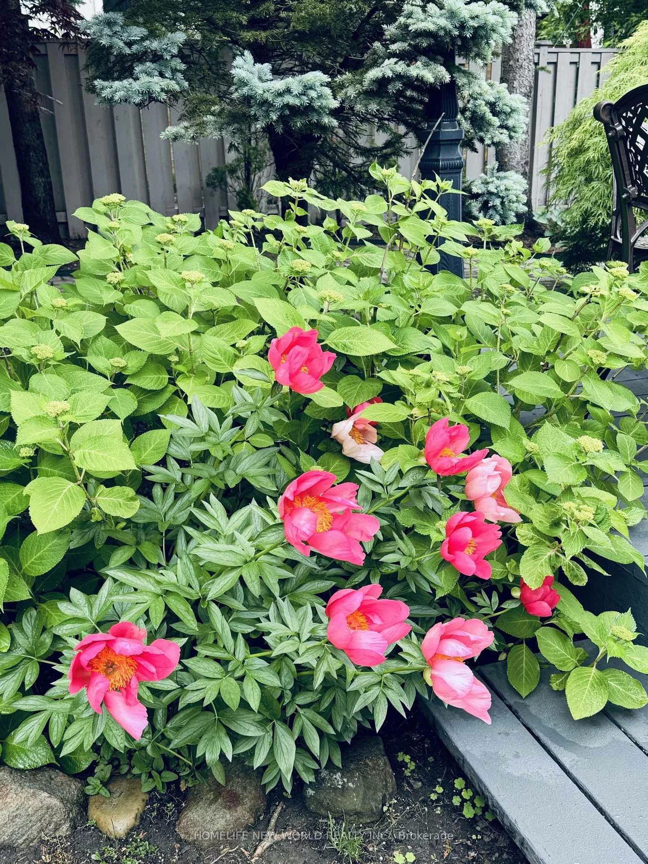 594, Woburn, Bedford Park-Nortown, Toronto