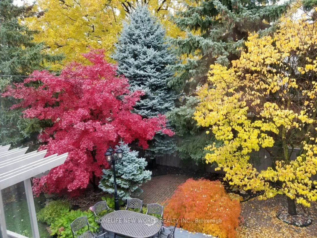 594, Woburn, Bedford Park-Nortown, Toronto