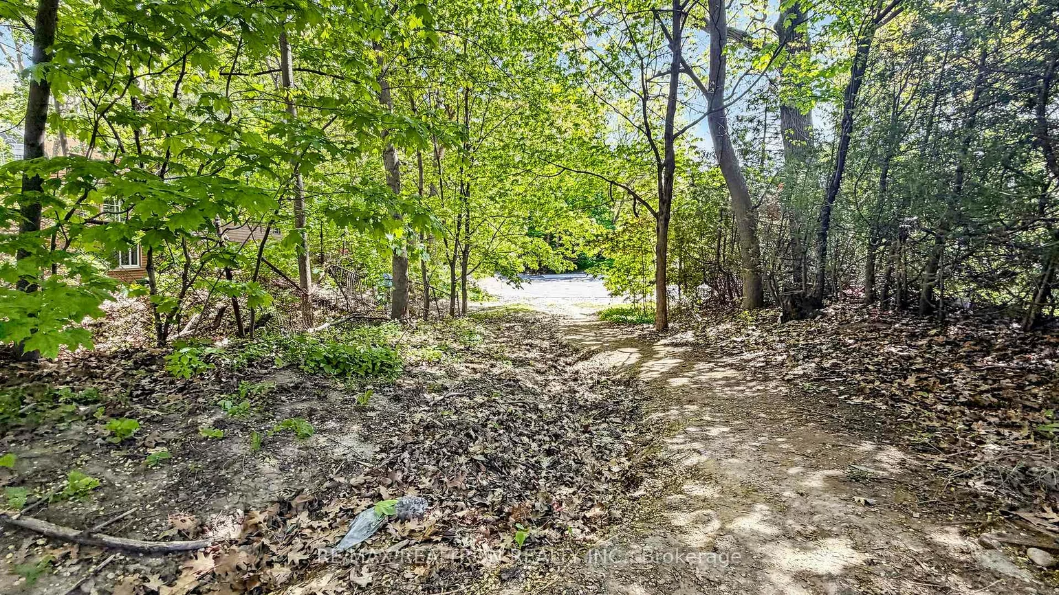 239, Sandringham, Lansing-Westgate, Toronto