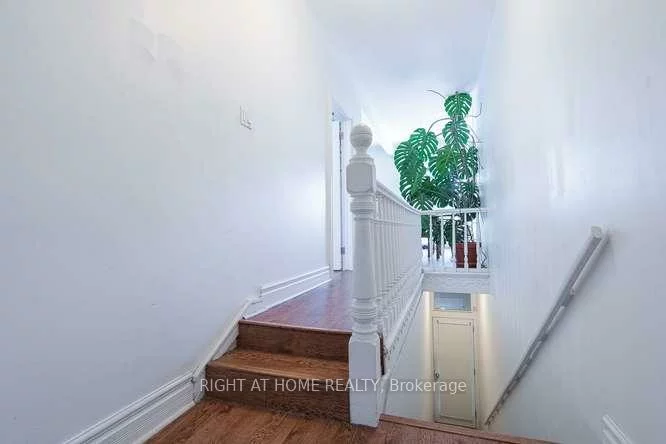 41, Lakeview, Trinity-Bellwoods, Toronto