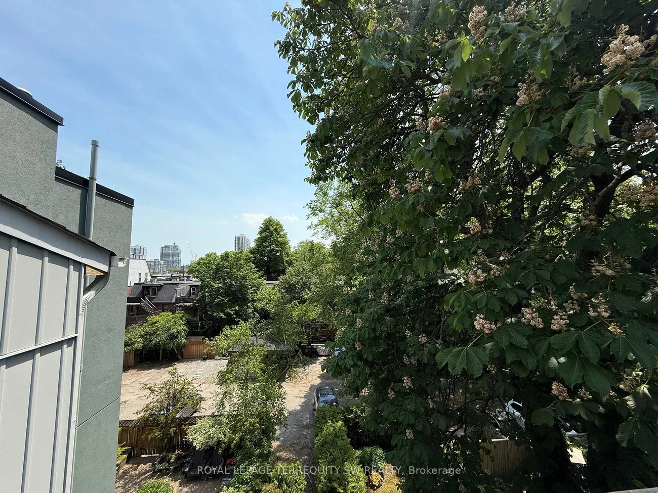 29, Winchester, Cabbagetown-South St. James Town, Toronto