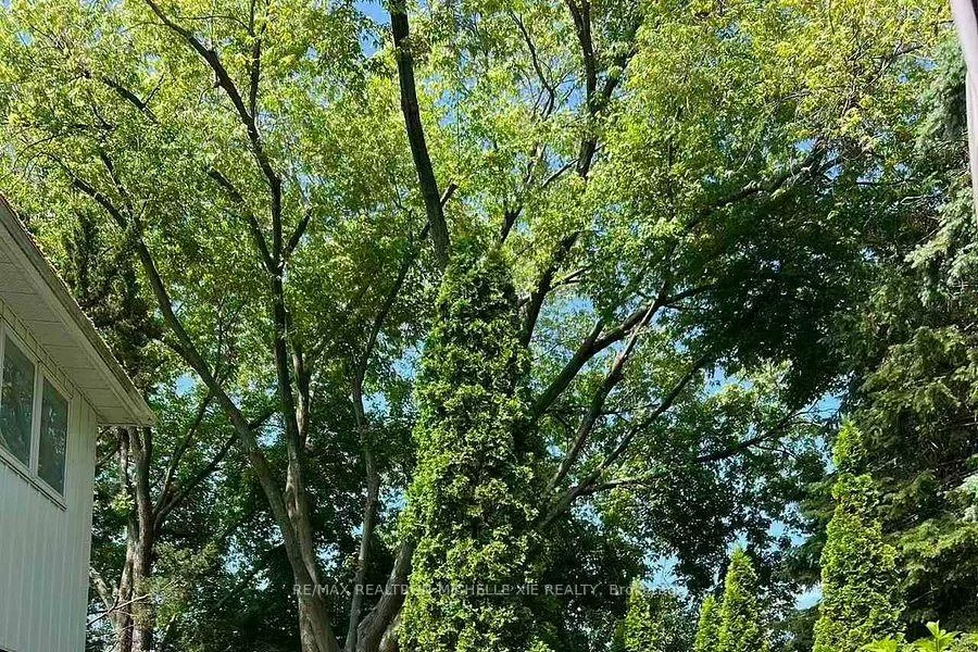 8, Meadowglade, Henry Farm, Toronto