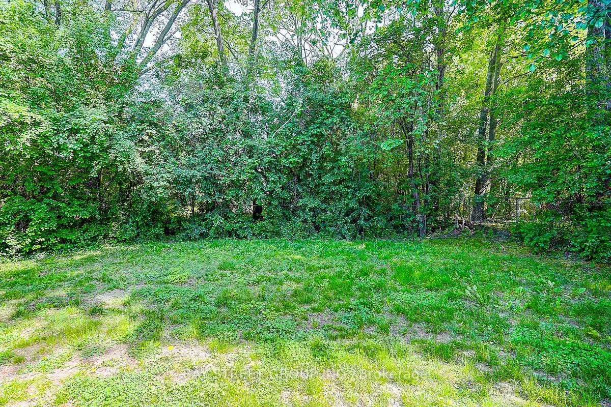 336, Betty Ann, Willowdale West, Toronto