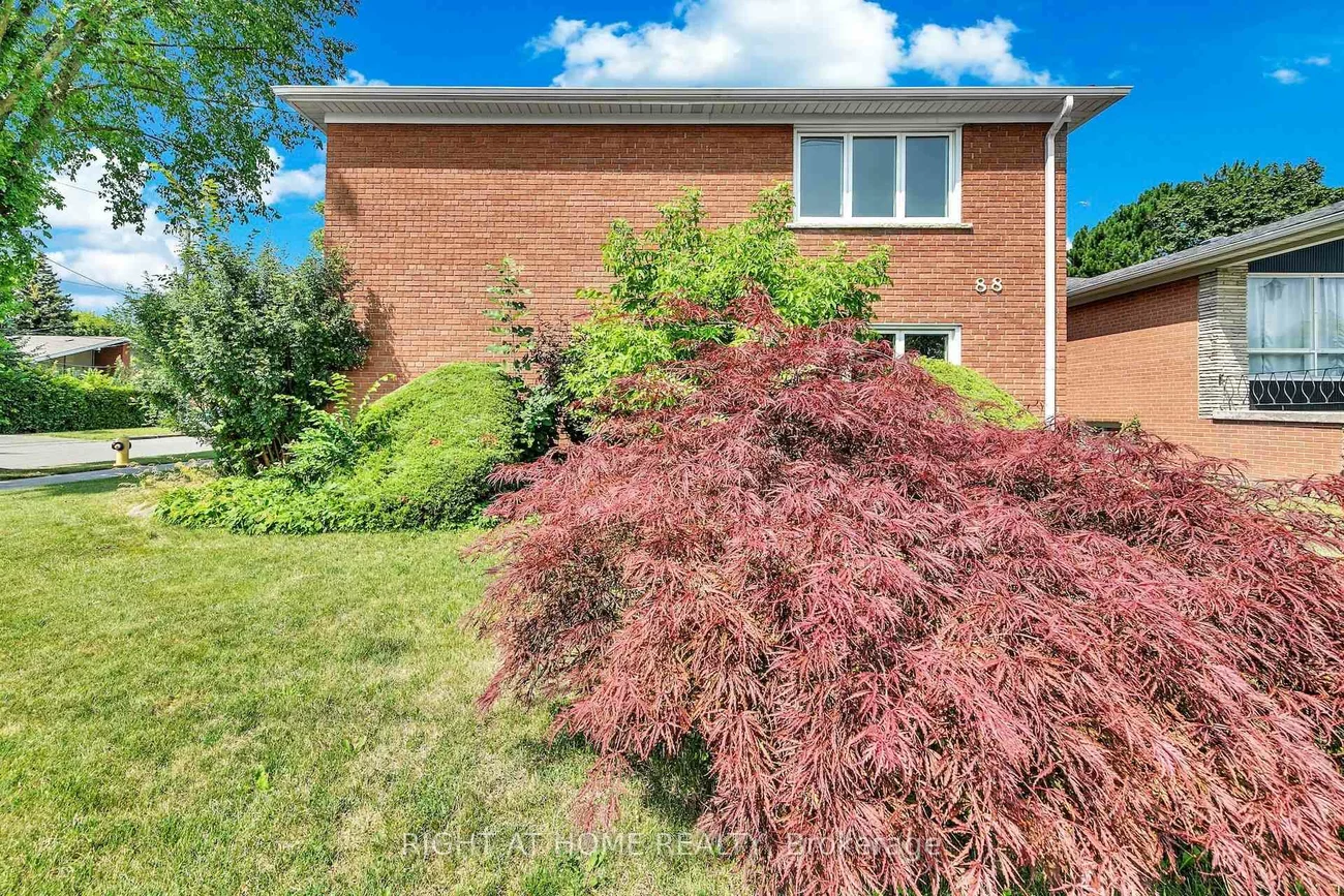 88, Peckham, Newtonbrook West, Toronto
