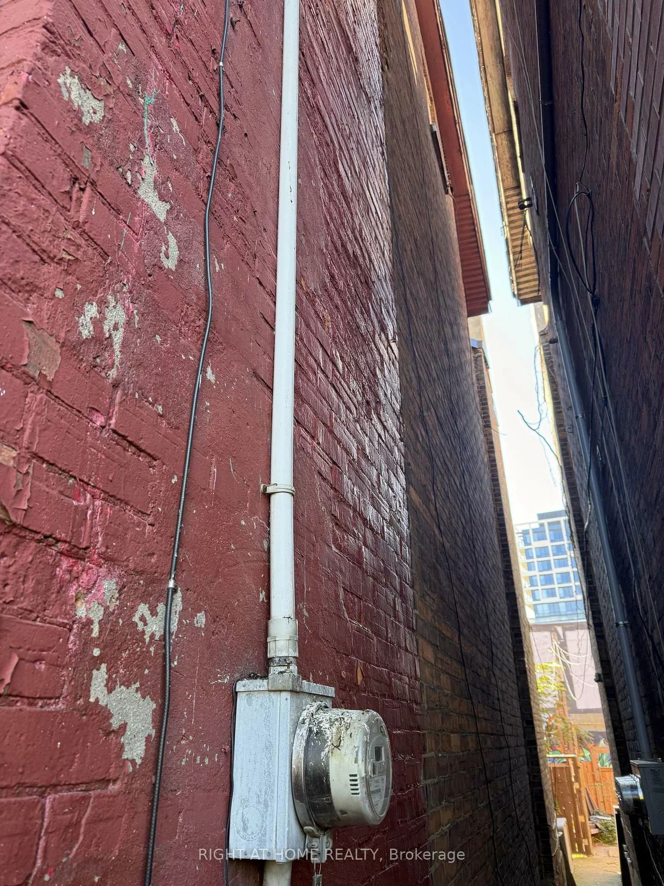 3, Wales, Kensington-Chinatown, Toronto