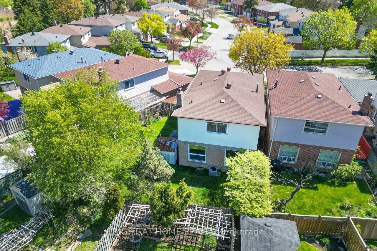 29, Nortonville, Tam O'Shanter-Sullivan, Toronto