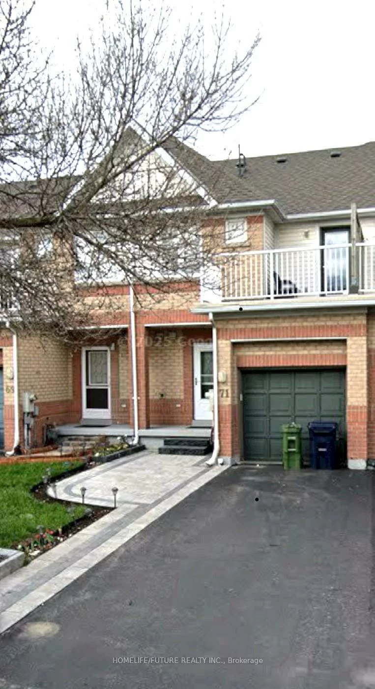 71, Carrera, Dorset Park, Toronto