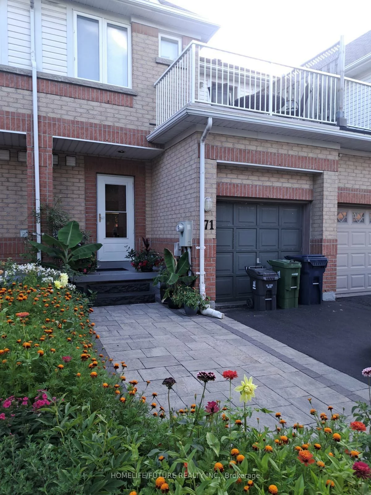 71, Carrera, Dorset Park, Toronto