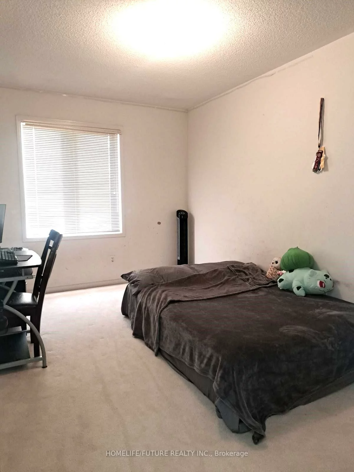 71, Carrera, Dorset Park, Toronto