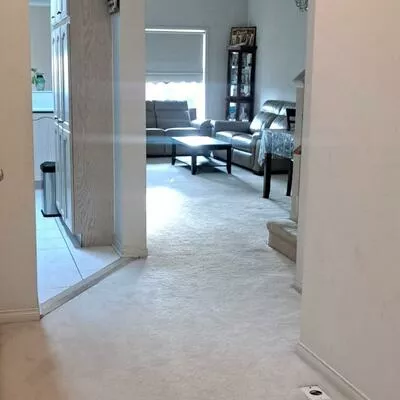 71, Carrera, Dorset Park, Toronto