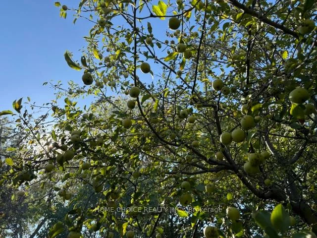 27, TERRYHILL, Agincourt North, Toronto