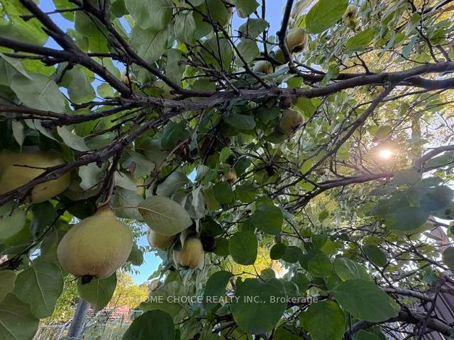 27, TERRYHILL, Agincourt North, Toronto